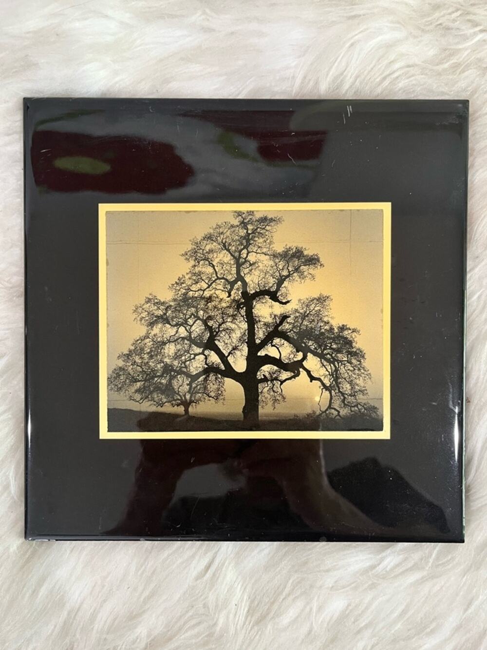 NEW Ansel Adams Landscape Black Sepia Square Tree Art Tile Wall 90s Art 8”